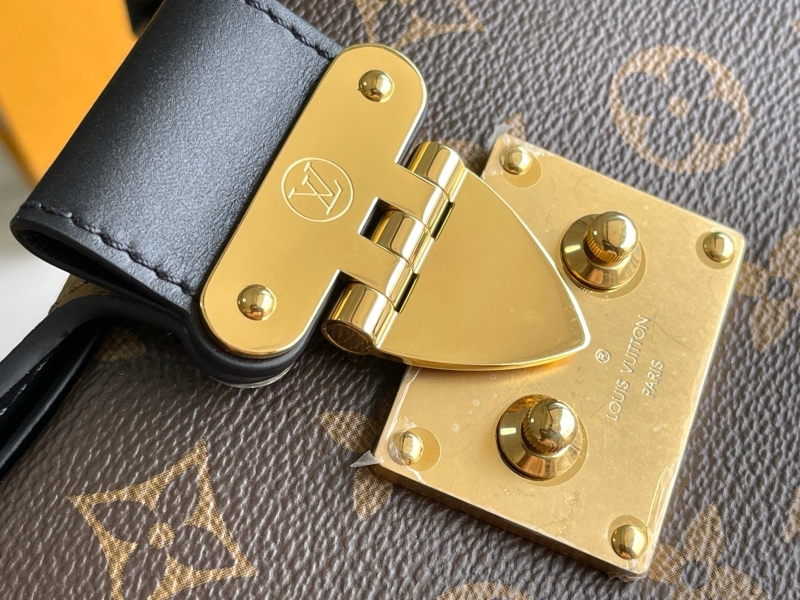 LV Satchel bags